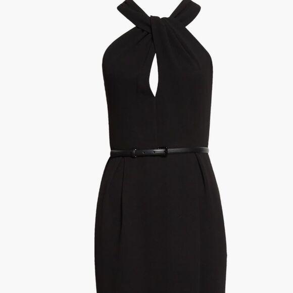 Max Mara Luna Grecian Neck Cady Dress Size 6 NWT $995 - Picture 10 of 11